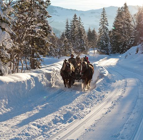 large-pferdekutschenfahrt-in-der-region-hochkoenig-1